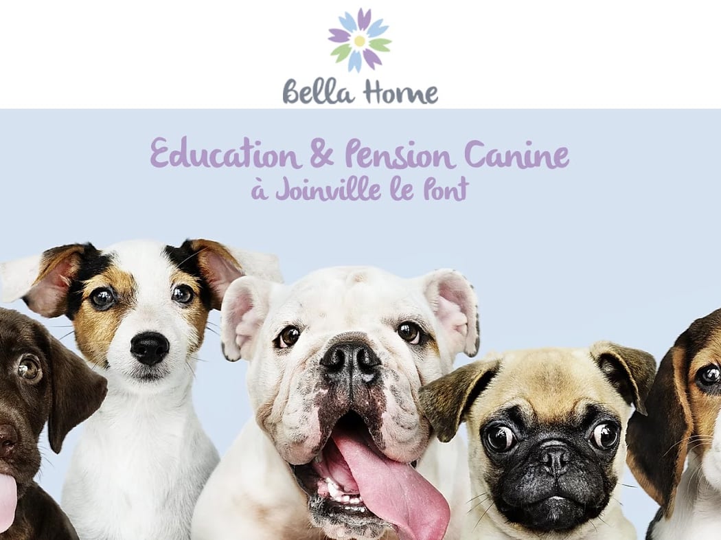 Bella Home 1